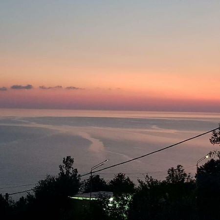 Гостевой Дом Мимоза Gagra Exteriör bild